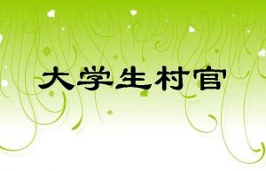 大学生村官考试