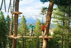 《自然的慰藉》