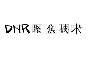 DNR聚焦技术