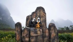 岜盆乡白头叶猴自然保护区 岜盆乡白头叶猴自然保护区