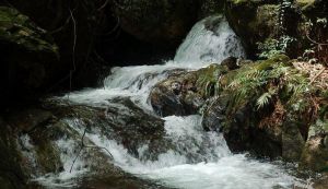 七冲国家级自然保护区