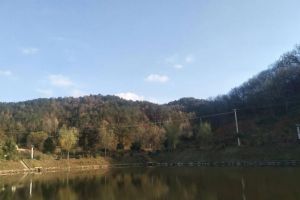 七冲国家级自然保护区