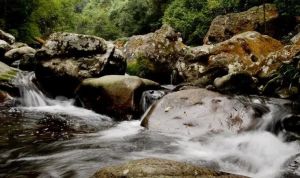 七冲国家级自然保护区