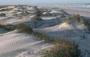 豌豆岛国家野生动物保护区