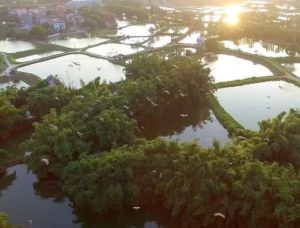 九江璜玑自然保护区