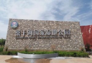 河北涿鹿桑干河国家湿地公园