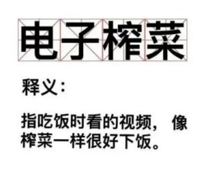 电子榨菜