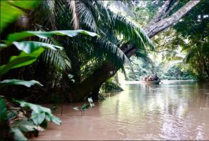 亚马逊热带雨林