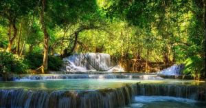 亚马逊热带雨林