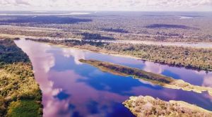 亚马逊热带雨林