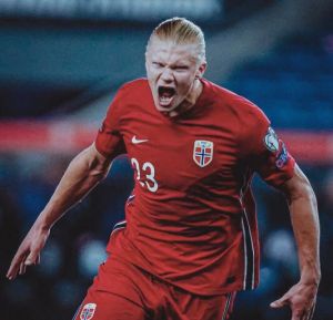 埃尔林·哈兰德