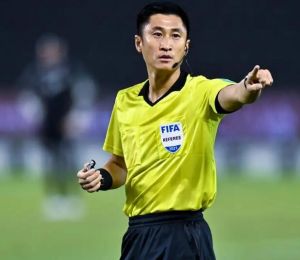 马宁 中国职业足球裁判员