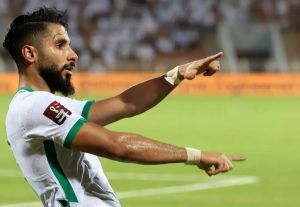 萨利姆·多萨里