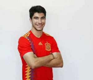 卡洛斯·索莱尔