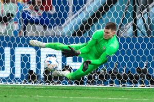 多米尼克·利瓦科维奇