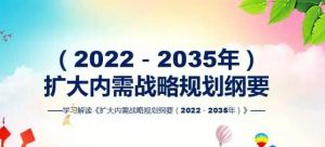 扩大内需战略规划纲要