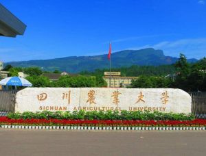 四川农业大学