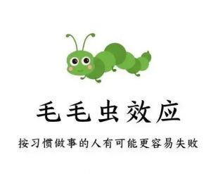 毛毛虫效应