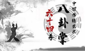 八卦掌 八卦掌