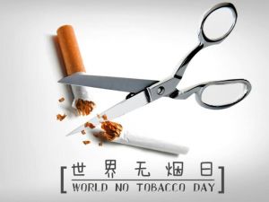 世界无烟日 世界无烟日
