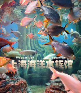 上海海洋水族馆 上海海洋水族馆