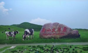 南山牧场 南山牧场