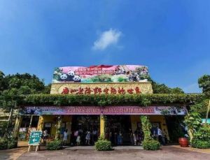 长隆野生动物世界