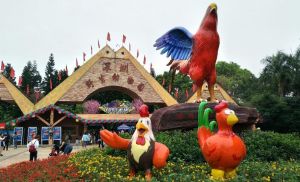 深圳野生动物园