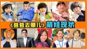 《爸爸去哪儿》萌娃现状