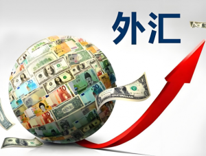 外汇 外汇