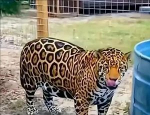 攀枝花动物园 攀枝花动物园