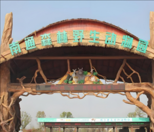 南通森林野生动物园 南通森林野生动物园