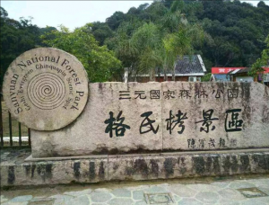 三明格氏栲省级自然保护区 三明格氏栲省级自然保护区