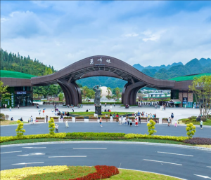 万峰林景区 万峰林景区