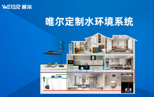 唯尔定制水环境系统