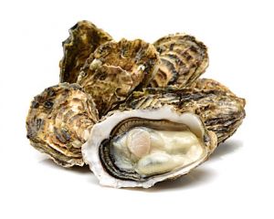 牡蛎
