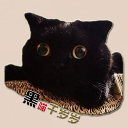 黑喵千岁岁 黑喵千岁岁