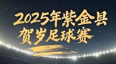 2025年贺岁杯足球赛