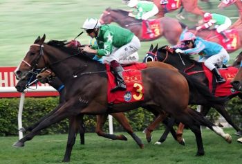 2025农历新年赛马日