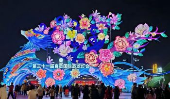 第三十一届自贡国际恐龙灯会