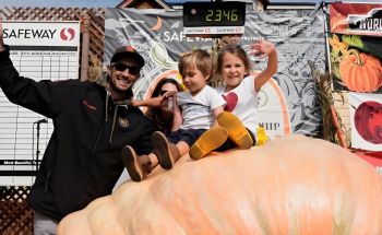 第52届世界南瓜大赛