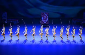 第二十届中国吴桥国际杂技艺术节