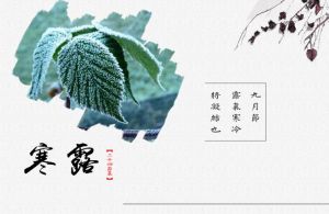 寒露节气