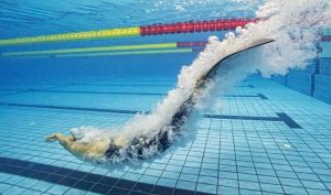 世界蹼泳锦标赛 世界蹼泳锦标赛