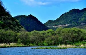 神农架大九湖国家湿地公园环境 神农架大九湖国家湿地公园环境