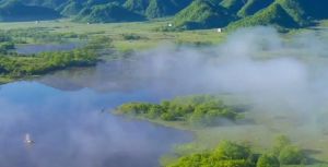 大九湖国家湿地公园 大九湖国家湿地公园