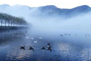 大九湖国家湿地公园 大九湖国家湿地公园