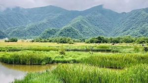 神农架大九湖国家湿地公园 神农架大九湖国家湿地公园