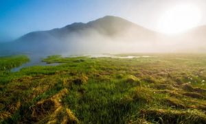 神农架大九湖国家湿地公园 神农架大九湖国家湿地公园