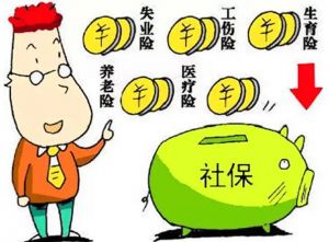 社会保险 社会保险